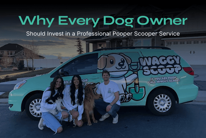 Why Every Dog Owner Should Invest in a Professional Pooper Scooper Service